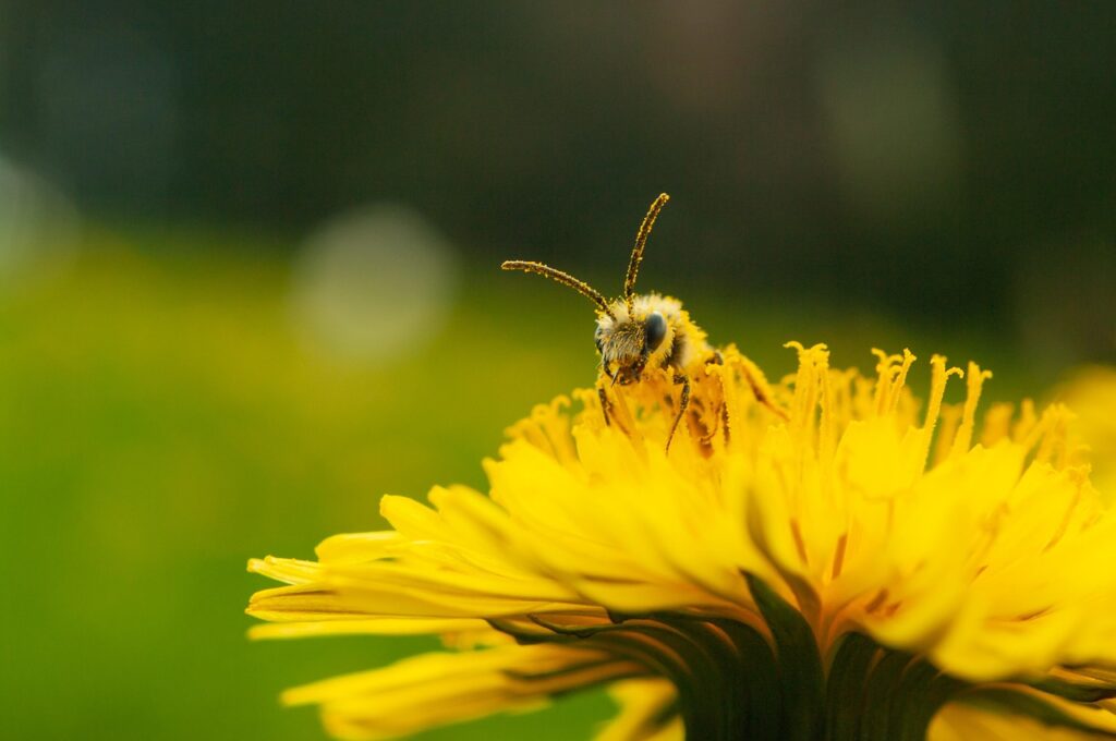 Préserver la biodiversité en Creuse - Creuse Tourisme