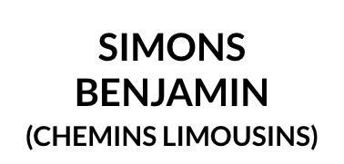 Benjamin Simons - transport de voyageurs, guide conférencier