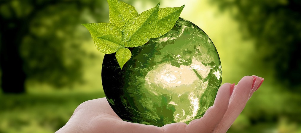 Les rendez-vous du Tourisme Durable en Creuse, référentiel départemental pour les hébergeurs éco-engagés