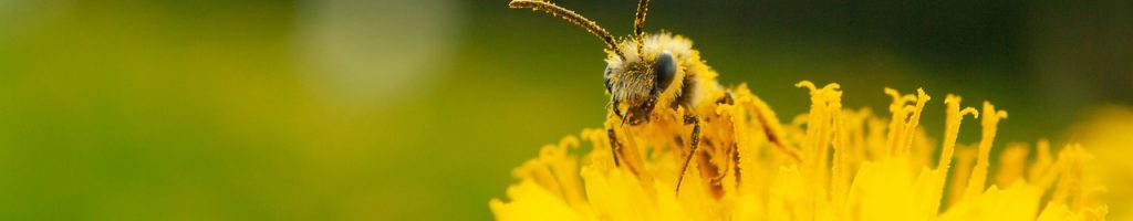 Préserver la biodiversité en Creuse - Creuse Tourisme